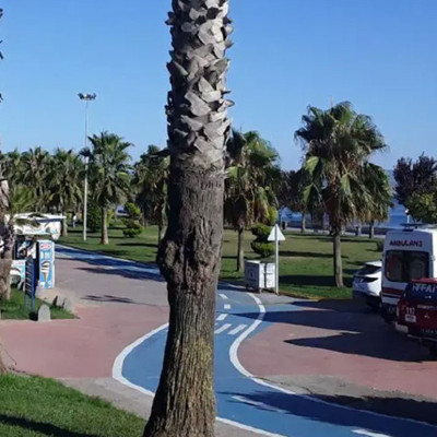 Üç kardeşin Darıca sahilinde gizemli ölümü! Tek renk giyinmişler, kol kola yürümüşler