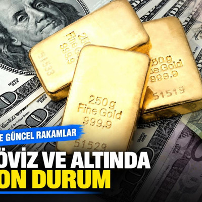 Döviz ve altında son durum