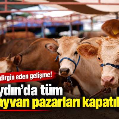 Aydın'da tüm hayvan pazarları kapatıldı