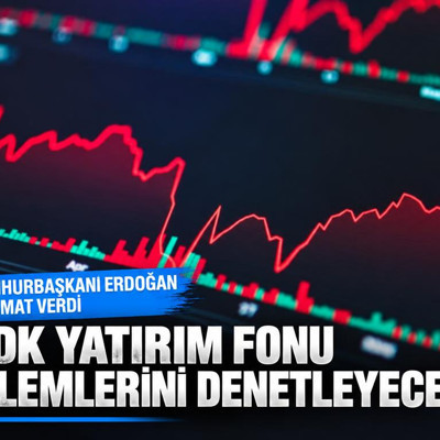 Devlet Denetleme Kurulu yatırım fonu işlemlerini denetleyecek