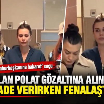 Dilan Polat'a Cumhurbaşkanına hakaret soruşturması: İfade verirken fenalaştı