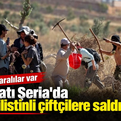 Batı Şeria'da Filistinli çiftçilere saldırı: Yaralılar var