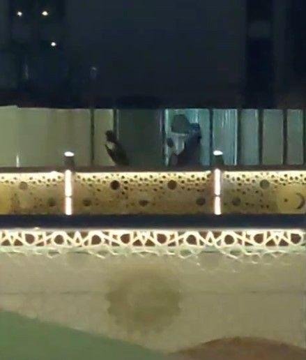 Otobüs duraklarının camlarını kıran çocuk tutuklandı - Resim: 4