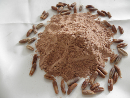 Hurmanın çekirdeğini çöpe atmadan önce 2 kere düşünün! Çok az insan biliyor... - Resim: 3