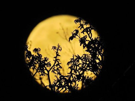 Gümüşhane’de kartpostallık dolunay manzarası - Resim: 1