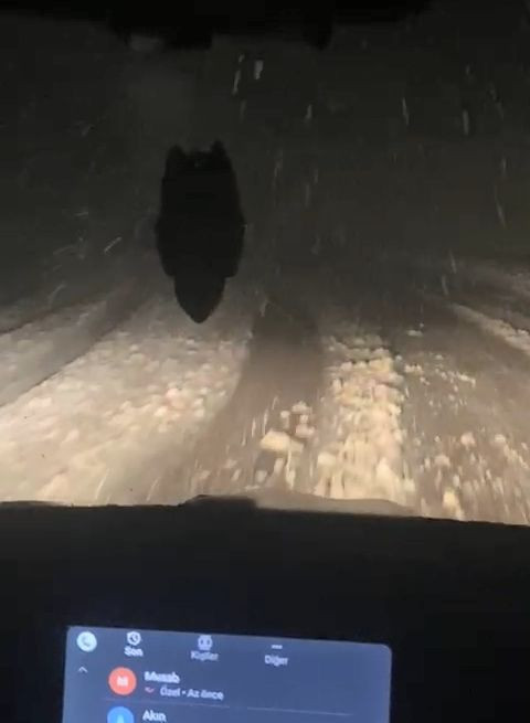 Bingöl- Erzurum karayolunda 'kar' etkili oldu - Resim: 1