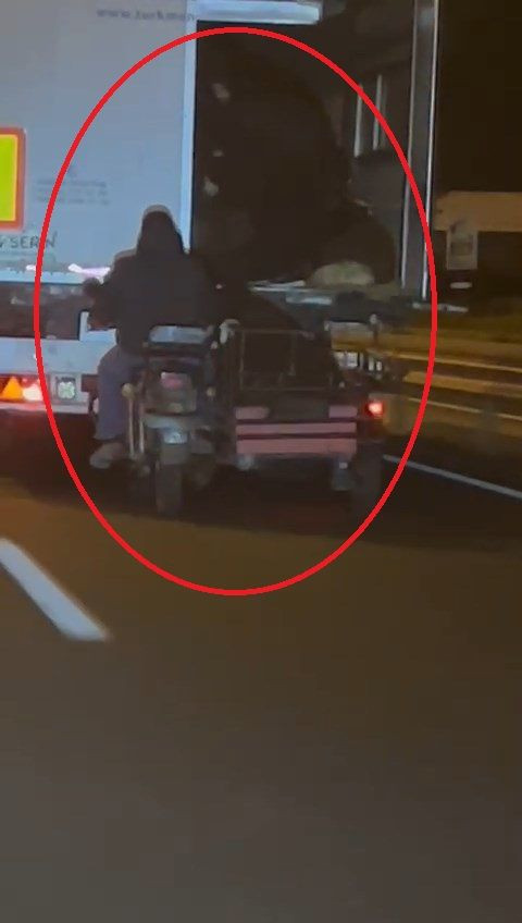 Hareket halindeki TIR’dan koyun hırsızlığı kamerada - Resim: 1