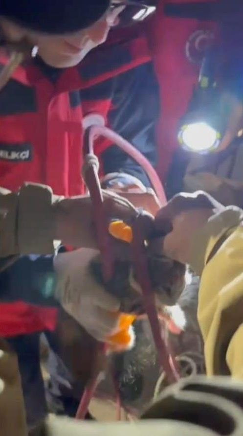 Su pompası deliğine düşen yavru kediyi itfaiye kurtardı - Resim: 3