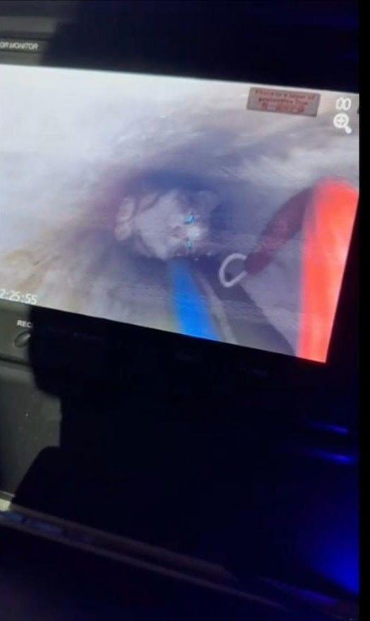 Su pompası deliğine düşen yavru kediyi itfaiye kurtardı - Resim: 4