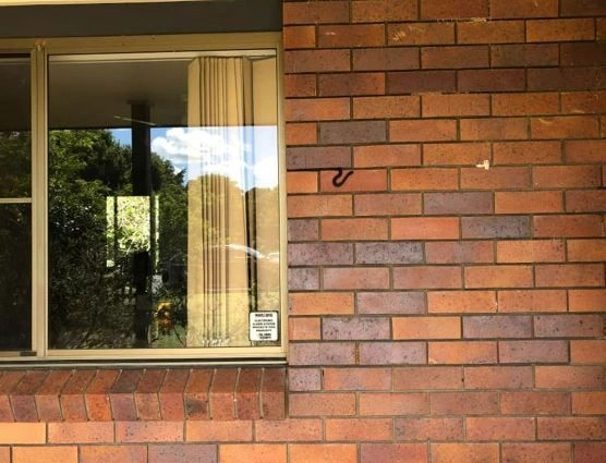 Fotoğrafa dikkatli bakınca şoku yaşadılar! Kendini öyle bir kamufle etmiş ki... - Resim: 3