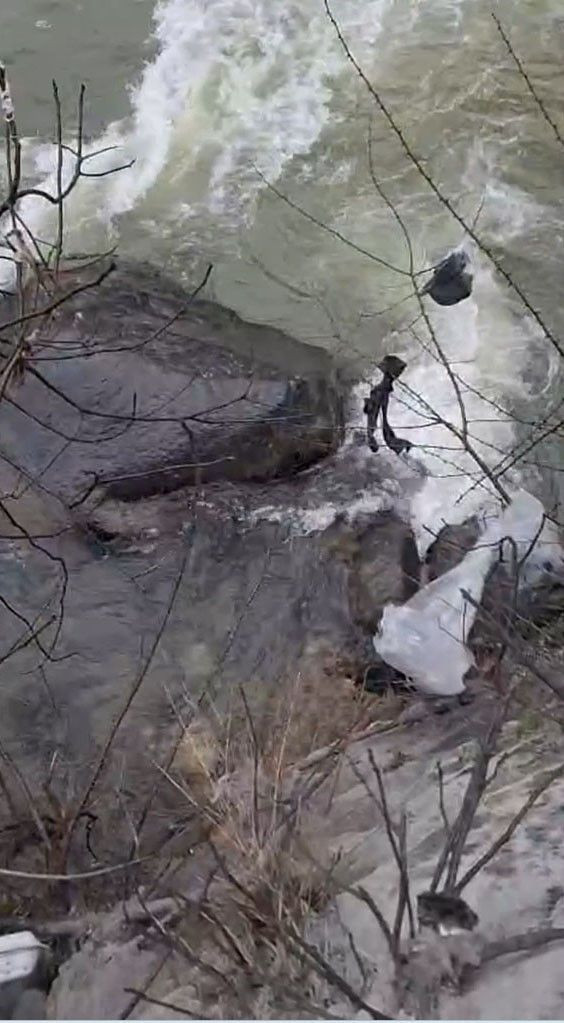 Dereli’de derede mahsur kalan köpek belediye ekiplerince kurtarıldı - Resim: 3