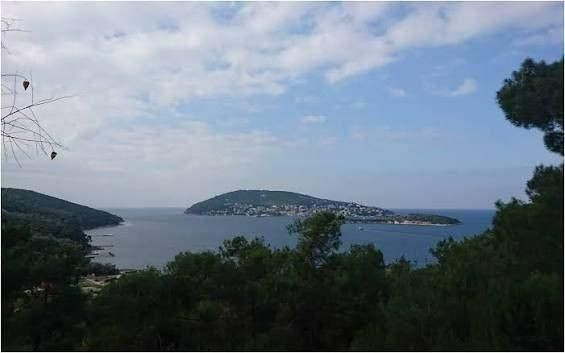 Büyükada depremleri sonrası korkutan hareketlilik: Üşümezsoy'dan ‘İstanbul’ açıklaması - Fotoğraf: 6