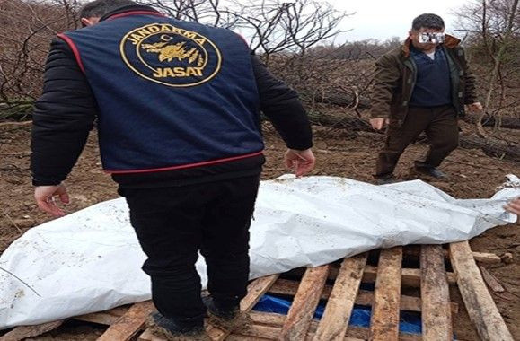 Traktörünü çukura gömüp, jandarmaya çalındı ihbarı yaptı - Fotoğraf: 2
