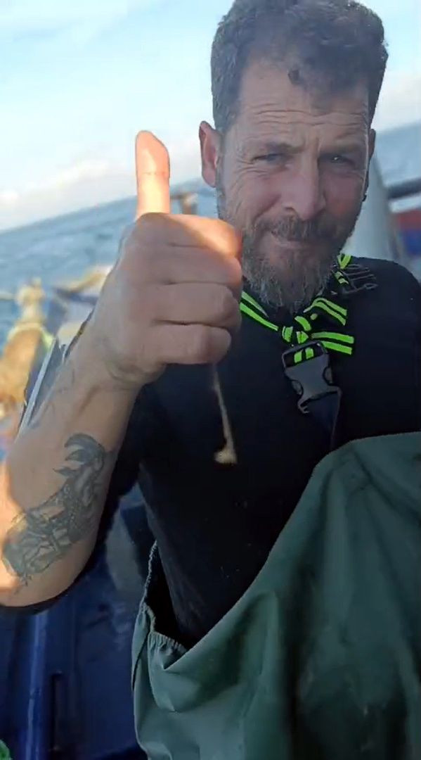 Balıkçı, ağına takılan camgöz köpek balığını yeniden suya bıraktı - Resim: 2