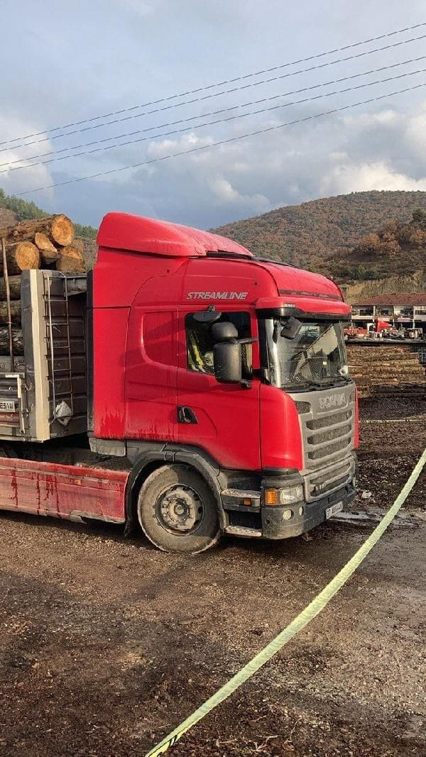 Üzerine tomruk devrilen kamyon sürücüsü öldü - Resim: 1