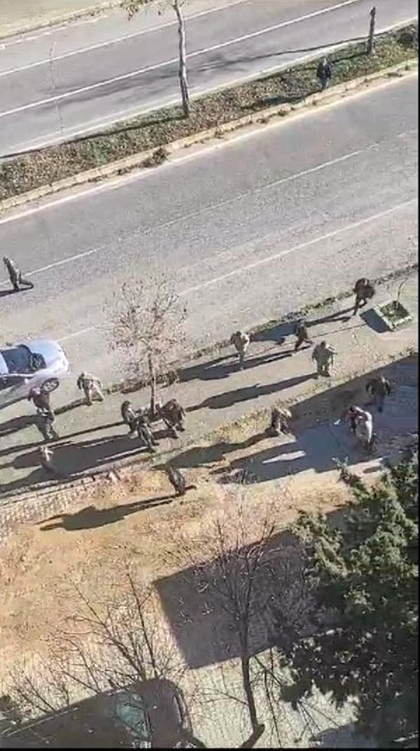 Mardin'de husumetli aileler arasında silahlı kavga - Resim: 1