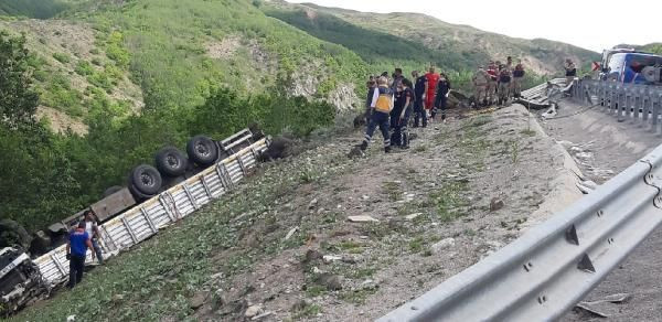 Kurbanlıkları taşıyan TIR devrildi; Sürücü öldü 17 hayvan telef oldu - Resim: 2