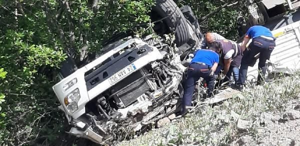 Kurbanlıkları taşıyan TIR devrildi; Sürücü öldü 17 hayvan telef oldu - Resim: 4