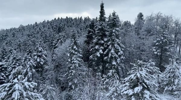 Karabük'te kar yağışı etkili oldu - Resim: 3