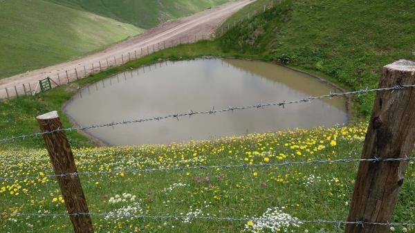 Dipsiz Göl, 'çamur göl' oldu - Resim: 2