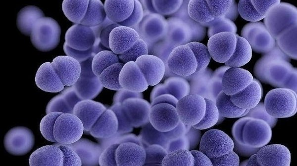 Strep A tam anlamıyla nedir, nasıl bulaşır? Strep A belirtileri, teşhis ve tedavisi... - Resim: 4