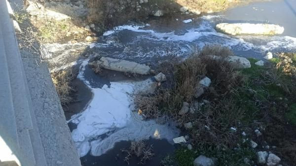 Terksakan Çayı'ndaki köpürmeye inceleme - Resim: 1