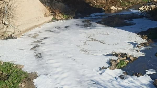 Terksakan Çayı'ndaki köpürmeye inceleme - Resim: 4