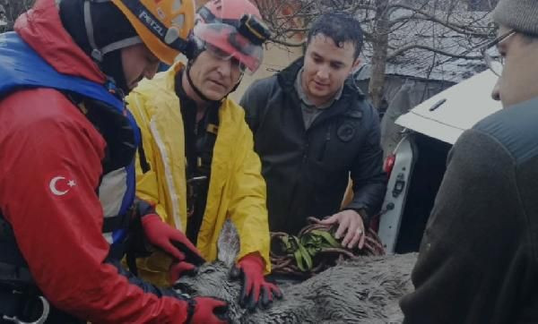 Sulama kanalına düşen karaca yavrusu kurtarıldı - Resim: 1