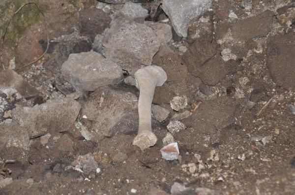 Gümüşhane'de defineciler, tarihi kiliseyi talan etti - Resim: 2