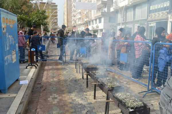 Mardin'de 'Hamsi Festivali'; katılımcılara 1 ton balık ikram edildi - Resim: 1