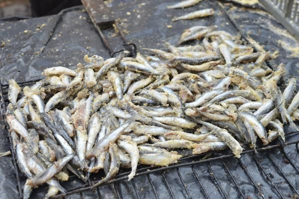 Mardin'de 'Hamsi Festivali'; katılımcılara 1 ton balık ikram edildi - Resim: 4