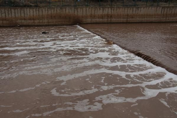 Oltu Çayı yine köpürdü - Resim: 2