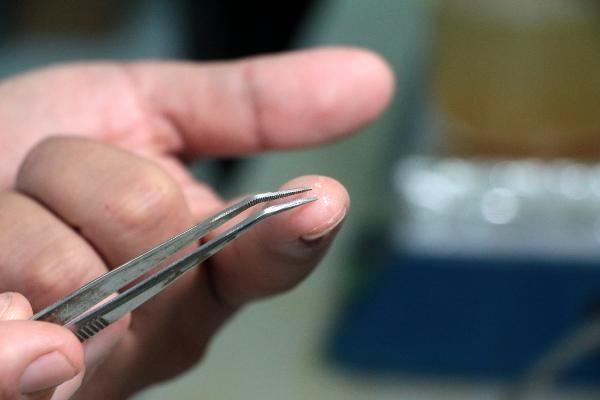 Plastik doğrama tahtalarındaki 'mikro' tehlike - Resim: 3