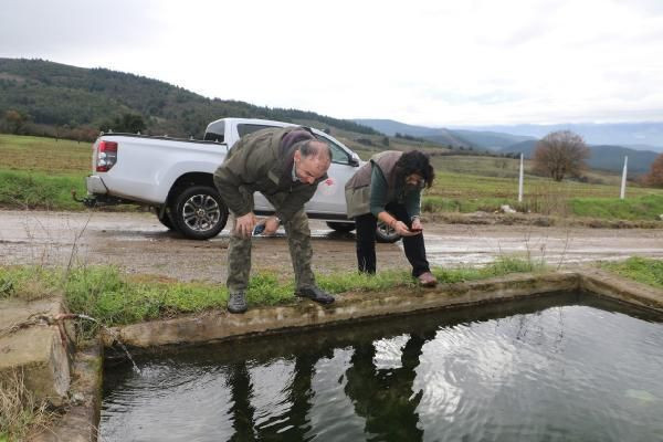 Tüm Kuzey Anadolu'da yayılış gösteren bir tür! Bursa'da, sulama göletinde bulundu! - Resim: 4