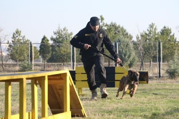 Türk Hava Kuvvetleri'nin hassas burunları - Resim: 2