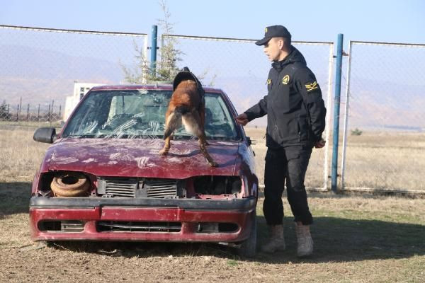Türk Hava Kuvvetleri'nin hassas burunları - Resim: 4