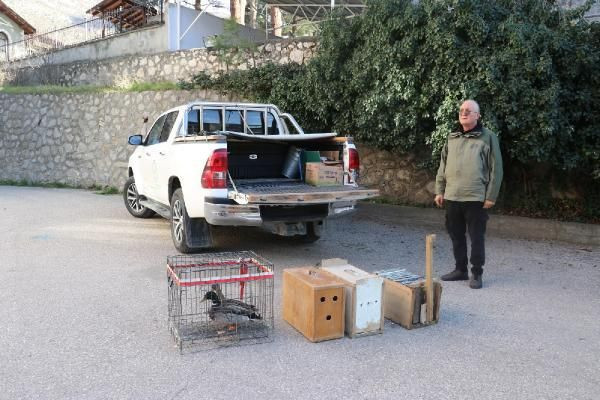 Yabani kuşları yakalayıp satan şüpheliye operasyon - Resim: 2