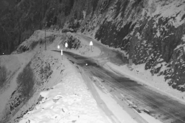 Yerleşim yerine inen kurt, sokak köpeğini parçaladı - Resim: 4