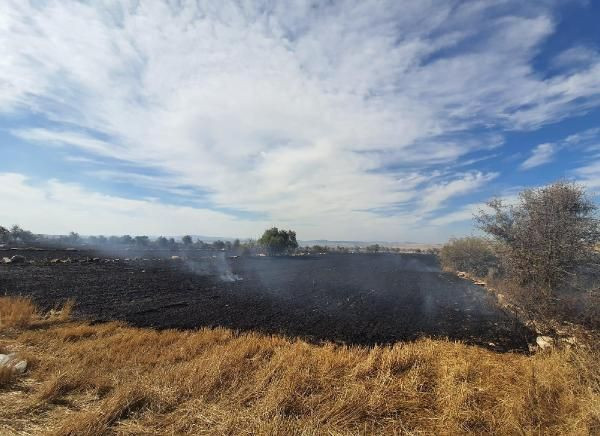 Eskişehir’de ormana sıçrayan anız yangını büyümeden söndürüldü - Resim: 4