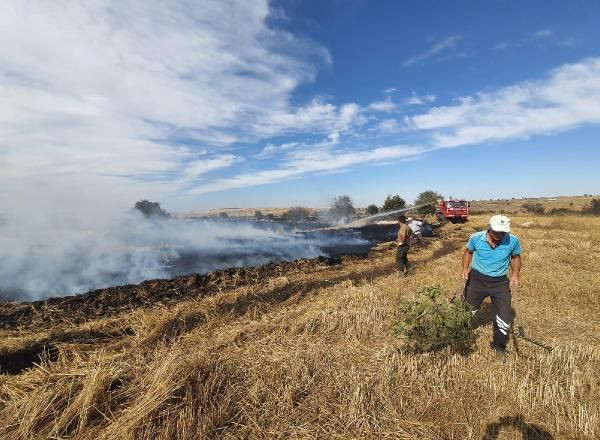 Eskişehir’de ormana sıçrayan anız yangını büyümeden söndürüldü - Resim: 1