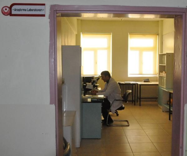 Gümüşhane Üniversitesi öğretim üyeleri, yeni 'otbiçen' türü keşfetti - Resim: 2