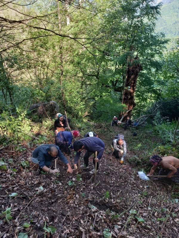 Ormanda insan kafatası ve kemikleri bulundu - Resim: 3