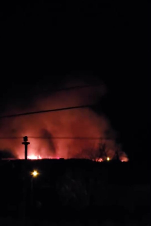 Göksu Deltası'nda sazlık yangını - Resim: 1