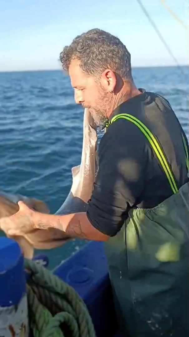 Balıkçı, ağına takılan camgöz köpek balığını yeniden suya bıraktı - Resim: 3