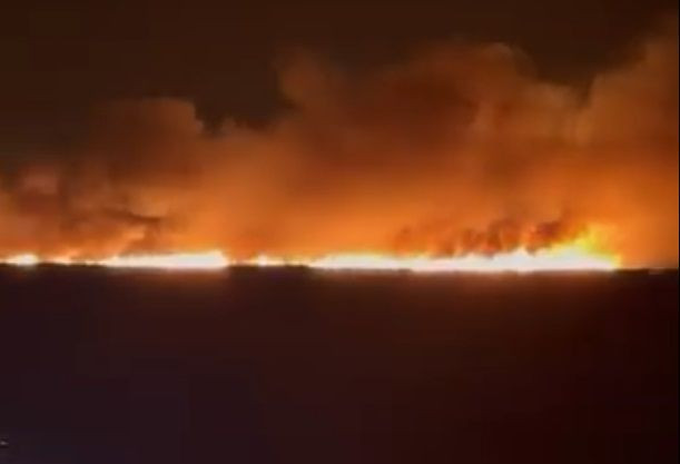 Göksu Deltası'nda sazlık yangını - Resim: 3