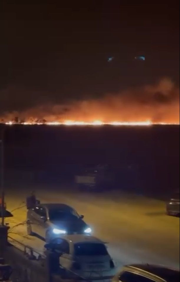 Göksu Deltası'nda sazlık yangını - Resim: 2