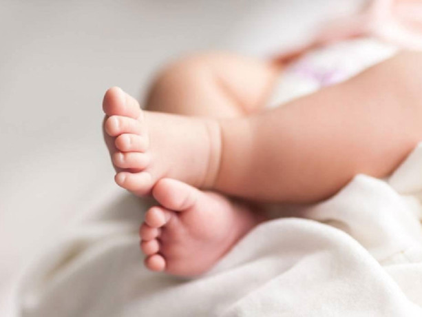 Türkiye’nin il il isim haritası açıklandı: Zeynep tahtını kaybetti, zirvedeki isim şaşırttı