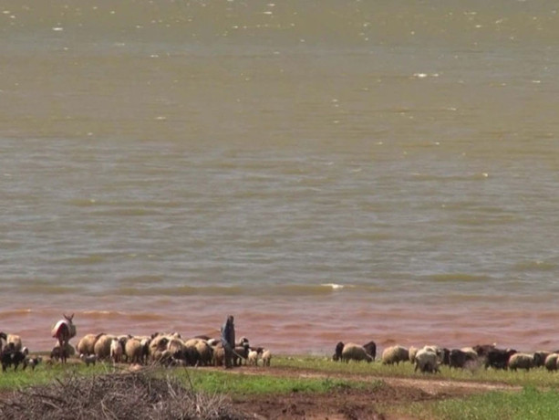 Reyhanlı Barajı'nda beş yıl sonra bir ilk!