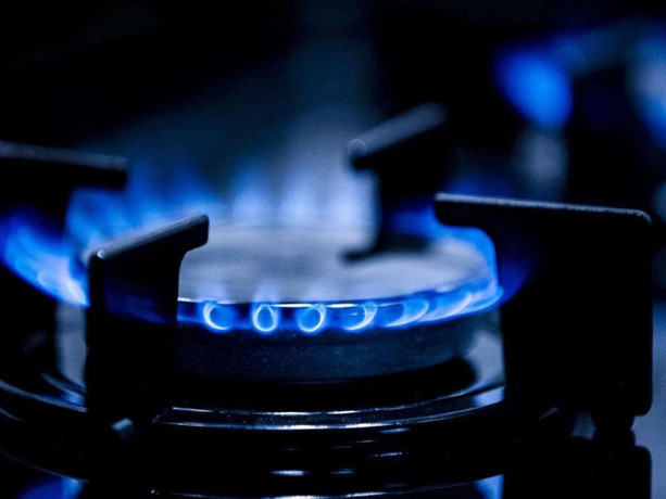 Bakan Bayraktar'dan doğal gaz açıklaması: "Hedefimiz fiyat artışı olmadan süreci tamamlamak"