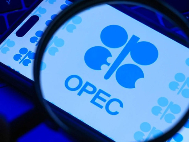 Petrol fiyatları için kritik karar! Birleşik Arap Emirlikleri, OPEC'ten ayrılıyor
